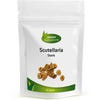 Scutellaria Stark (Schädeldecke)