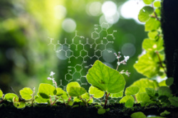 Multivitamin Natürlich