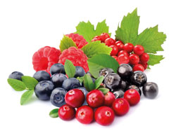 Superbeeren Plus