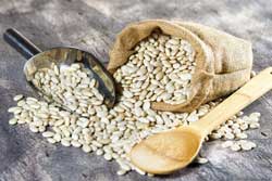 Kohlenhydratblocker Plus