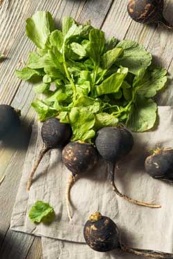 Schwarzer Rettich Extrakt