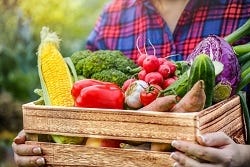 Iss bunte, frische Lebensmittel Iss bunte, frische Lebensmittel
