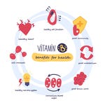 Die Vorteile von Vitamin B3 Die Vorteile von Vitamin B3