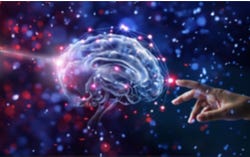 Vitamin B6 ist wichtig für die Produktion von Neurotransmittern Vitamin B6 ist wichtig für die Produktion von Neurotransmittern
