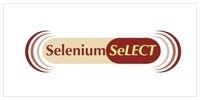 Logo Selenium Select