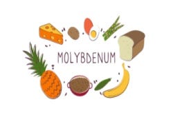 Nahrungsquellen mit Molybdän