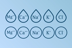 Die wichtigsten Elektrolyte in chemischen Namen