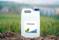 Chitosan als Bodenverbesserer