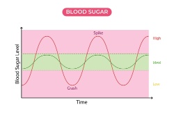 Der Blutzuckerspiegel