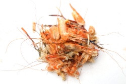 Garnelen sch&auml;len