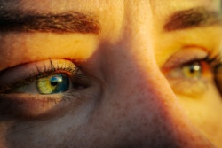Gr&uuml;ne Augen, auf die die Sonne scheint