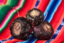 Die Maca als Knolle Die Maca als Knolle