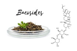 Molekulare Darstellung von Bacosiden Molekulare Darstellung von Bacosiden