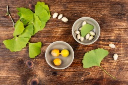 Ginkgo biloba-Nahrungserg&auml;nzungsmittel